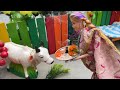 Sona Roopa ki kahani new part 247/barbie doll cartoon gude guriya kartun/the barbie task