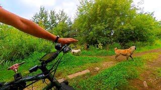 Такой маршрут и врагу не пожелаешь. часть 1