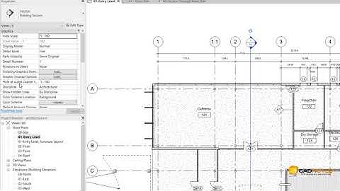 Revit Troubleshoot: section line disappears on certain scales