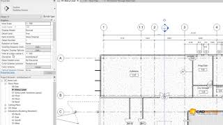 Revit Troubleshoot: section line disappears on certain scales