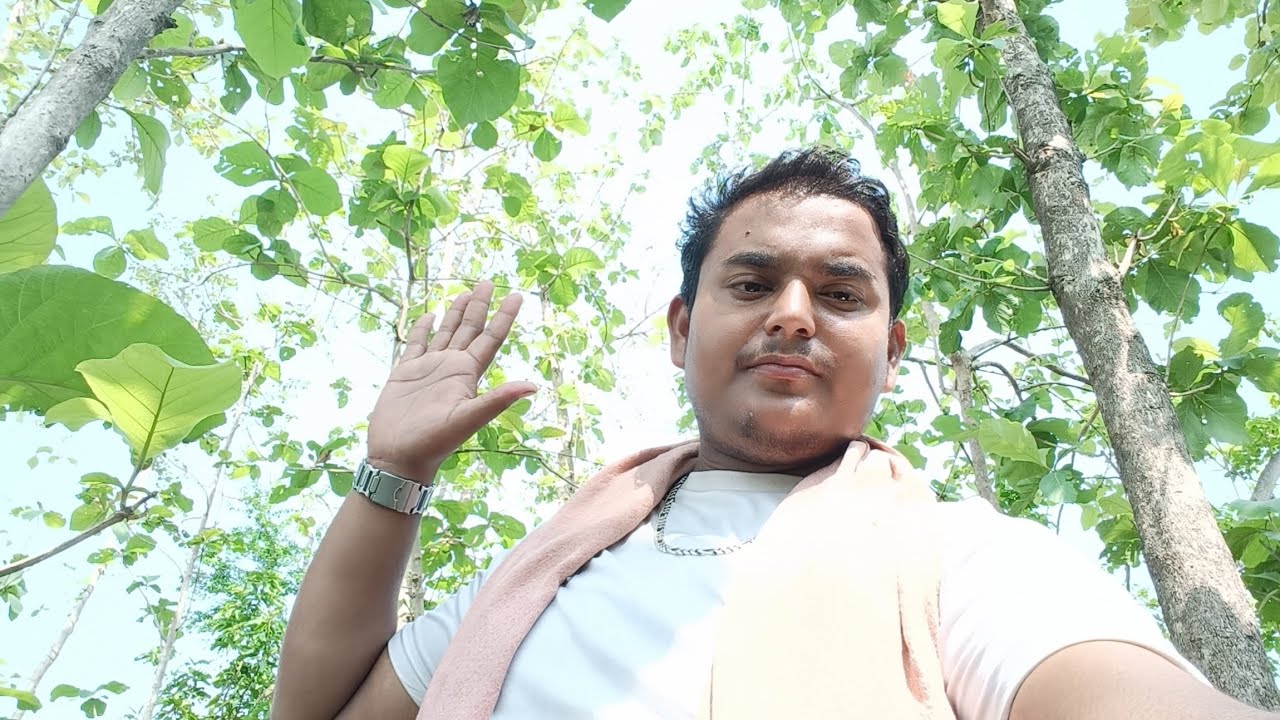 सागबन का बगिचा कैसा होता है sagwan ka bagicha ped kaisa hota🌲🌲🌲