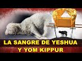 LA SANGRE DE YESHUA Y LOS SACRIFICIOS DE YOM KIPPUR