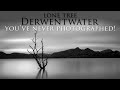 Derwentwater Lone Tree you've never photographed