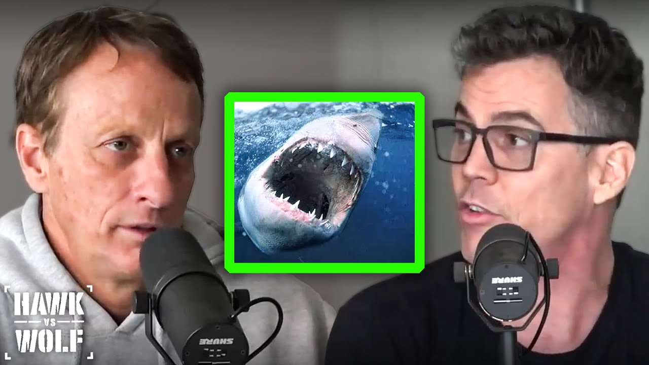 SteveO On Being Attacked By A Shark YouTube