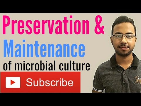 Video: În timpul conservării microbilor?