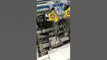 Self-supporting zipper bag sorting and binding machine #technology #sorts #flexible #packaging