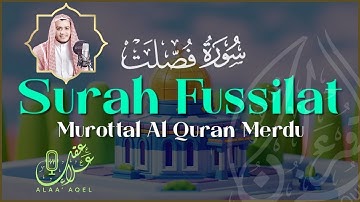 سورة فصلت | تلاوة عذبة و خاشعة تريح القلب | علاء عقل | Surah Fussilat | Alaa Aqel