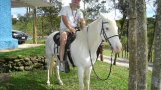 IRMAOS FINHANI.WMV