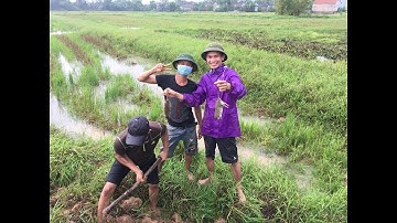 Thịt Chuột đồng - Đặc Sản Yên Thành - Xứ Nghệ - Ăn 1 Lần Nhớ Mãi Không Quên || Thành Cận