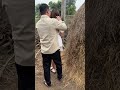 Anh Hàng Xóm Bán Được Đất Qua Nhà Em Hàng Xóm Gỉa Làm Tr.ộ.m