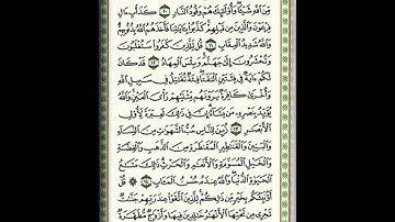 المقطع الـ 17 من سورة آل عمران الآيات 001- 022 من صفحة 50-52