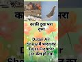 Share this video 🥰 status 🥰 Islamic knowledge 🥰 Islamic videos #islamicvideo #status #shorts.