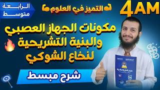 مكونات الجهاز العصبي والبنية التشريحية لنخاع الشوكي