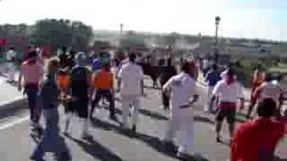 Toro de la vega 2007