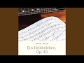 Miniature de la vidéo de la chanson Ein Heldenleben, Op. 40: The Hero's Works Of Peace