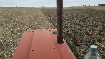 Chiseling corn stalks with 1486 and DMI Chizl-Champ