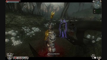 Fable TLC Walkthrough-trader escort part 1 HD