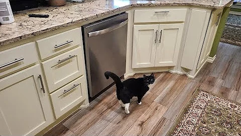 Midea 24" stainless steel dishwasher from Lowes -- any good? (2-year review)