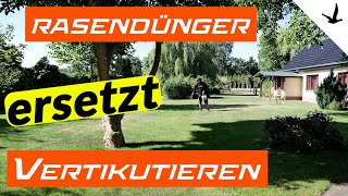 Rasendünger mit lebenden Bakterien ersetzt vertikutieren 🚩Cuxin DCM Mikro Rasendünger im Test