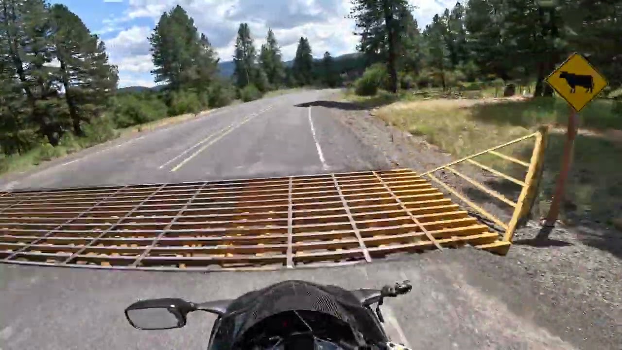 Middle Fork John Day River/ County rd 20