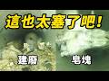買房驚喜？排水管路驚見「建築廢料」看到這些「皂塊」真的超躁！