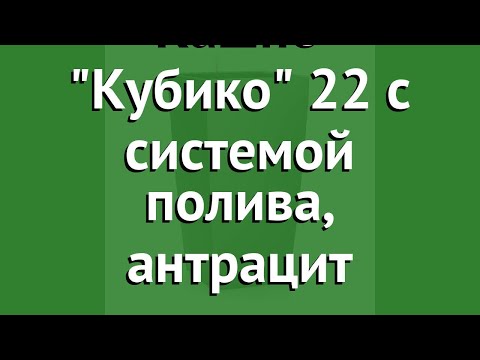Кашпо Кубико 22 с системой полива, антрацит (Lechuza) обзор 18463 производитель Brandstätter Group