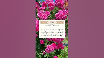 ألم نشرح لك صدرك......#سورة_الشرح #احمد_العجمي