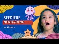 Seediere #kleuters #lami #afrikaans