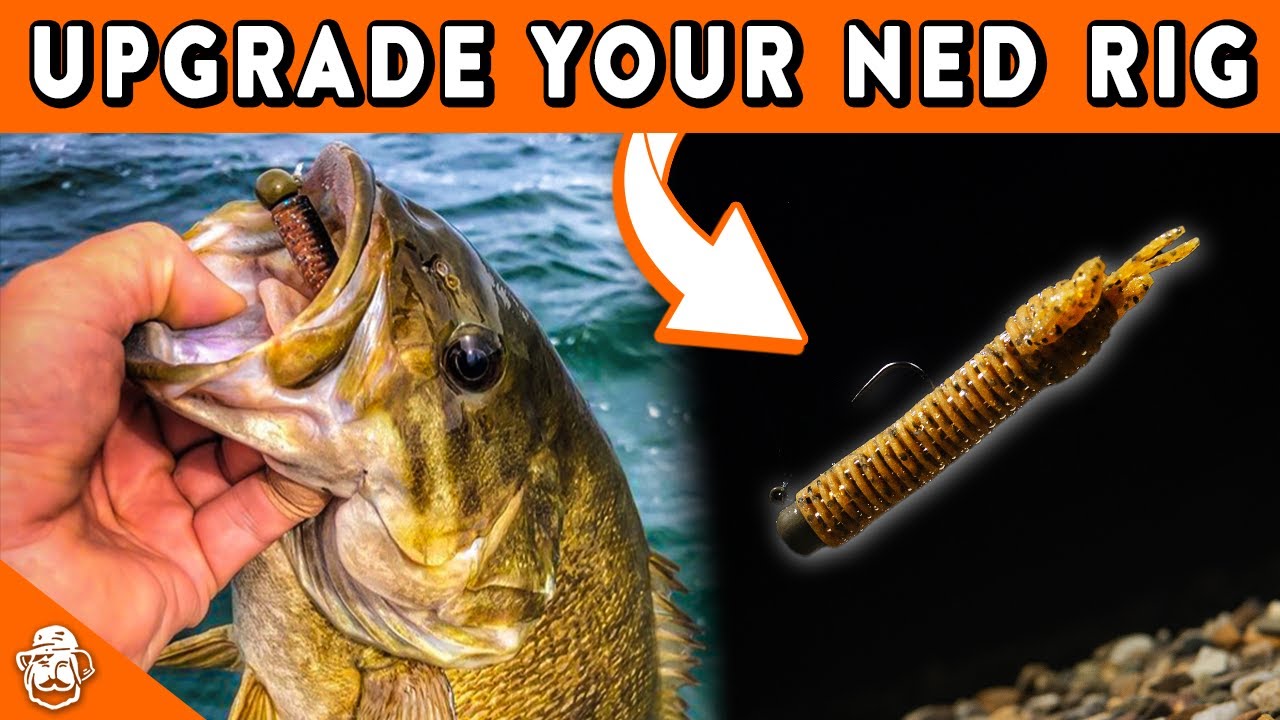 Take Your Ned Rig to The Next Level (Advanced Ned Rig Fishing Tips) 