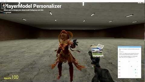 PlayerModel Personalizer