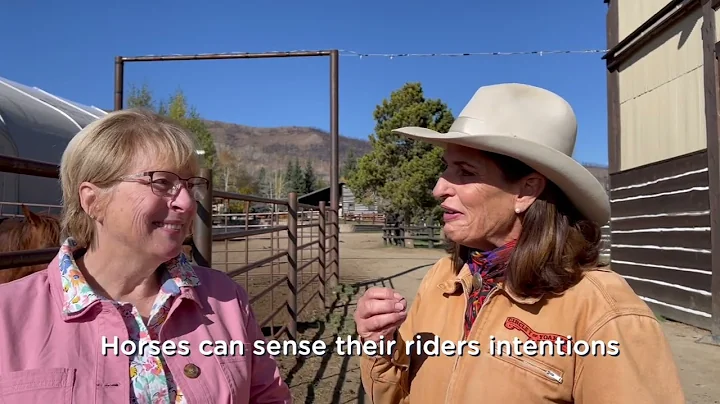 Dorothy + @Julie Goodnight Demonstrate Similarities between Organizing and Horsemanship