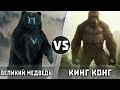 ВЕЛИКИЙ МЕДВЕДЬ vs КИНГ КОНГ