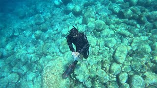 Spearfishing Shallow and deep water species?? Spearfishing strategy