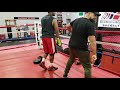 Boxing How to throw a check hook