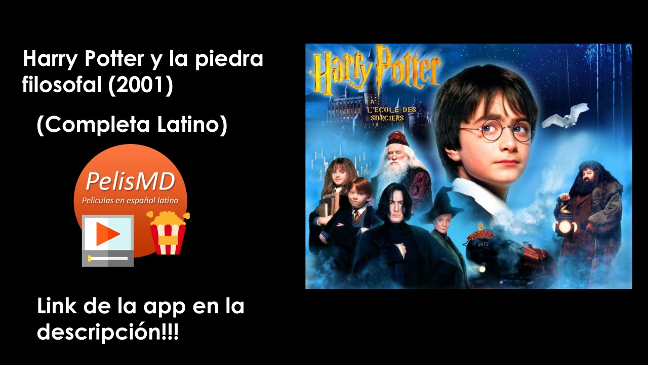Ver Harry Potter Y La Piedra Filosofal Youtube