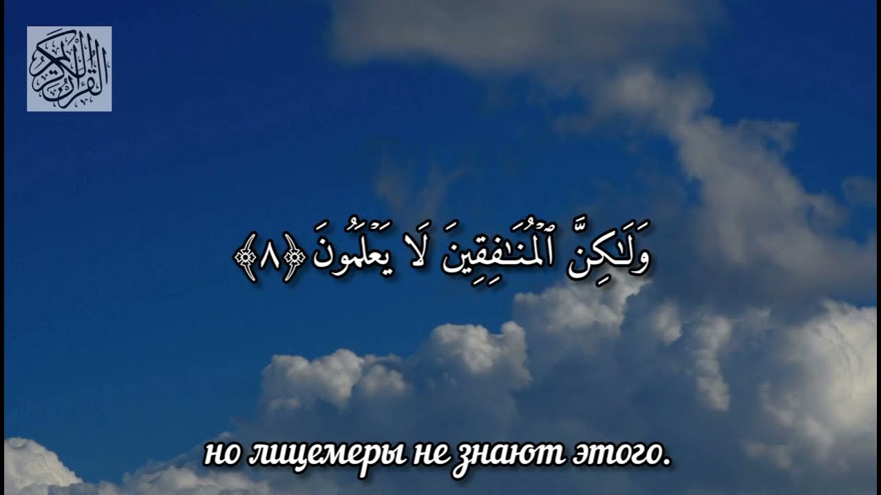 Аль мунафикун. Сура 63 Аль-Мунафикун. Шериф Мустафа. Сура 63 Аль Мунафикун лицемеры. Чтец Корана Шариф Мустафа.