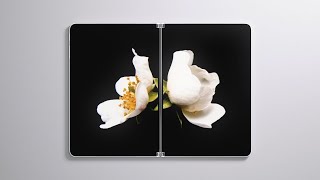 Introducing Surface Neo