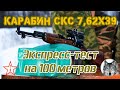 СКС - БПЗ, ТПЗ и АПЗ на 100 м. И замер скорости. (Express test. SKS carbine & Russian cartridges.)