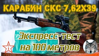 СКС - БПЗ, ТПЗ и АПЗ на 100 м. И замер скорости. (Express test. SKS carbine & Russian cartridges.)