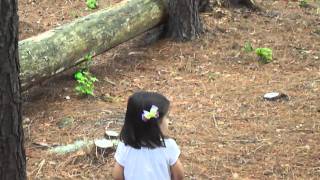 Easter Egg Hunt 2011