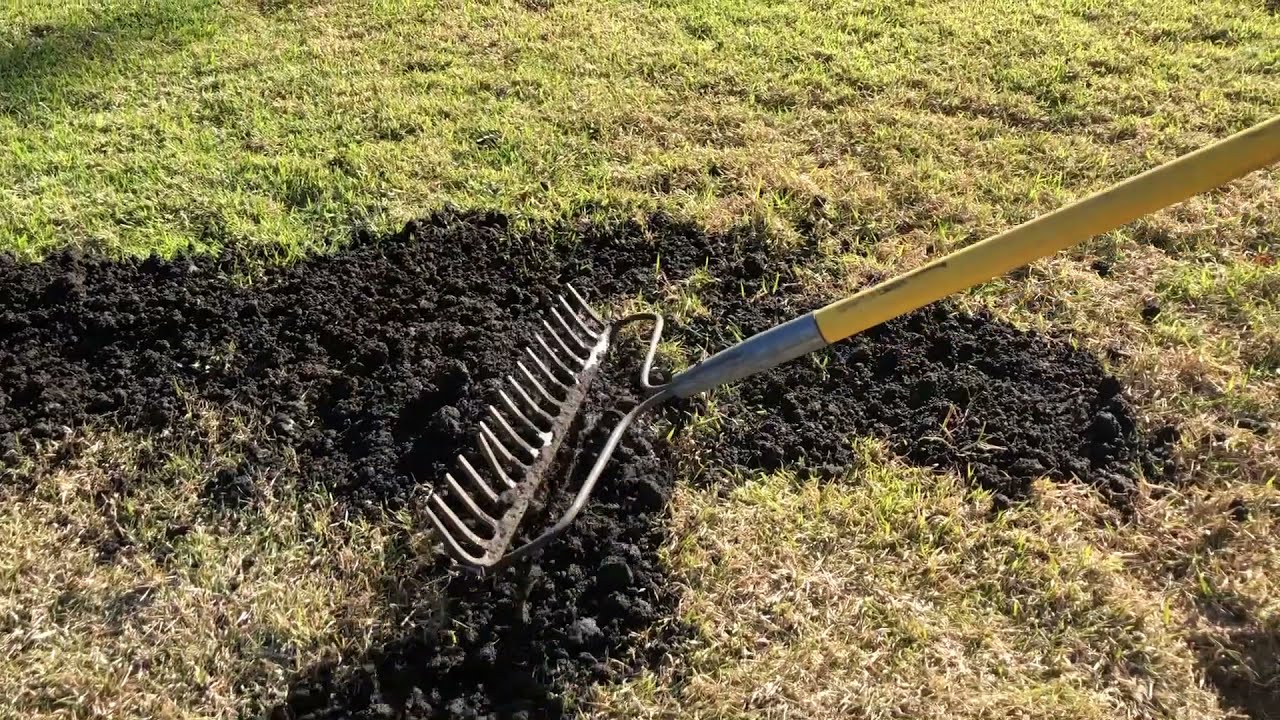 Top Dressing Your Lawn