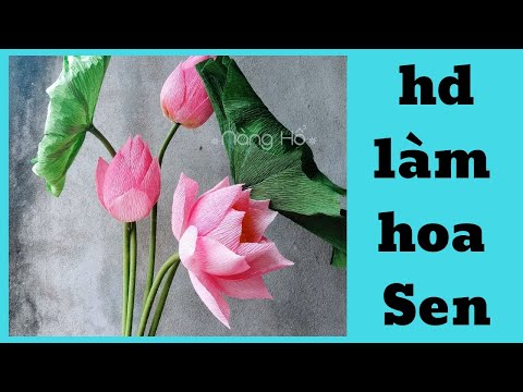 LOTUS PAPER FLOWER| HD LÀM HOA SEN BẰNG GIẤY NHÚN|NÀNG HỔ HANDMADE| PAPER FLOWERS| | Foci