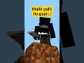 Malik, Galti Ho Gayi #Minecraft #Short