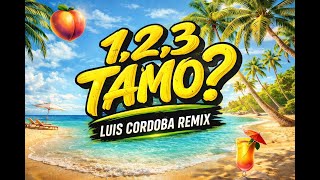 1,2,3 TAMO? FUNK 🍑🍑 - LUIS CORDOBA REMIX  (ABAJO, ARRIBA, AL CENTRO , PA DENTRO)