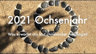 2021 - chinesische Astrologie - Ochsenjahr