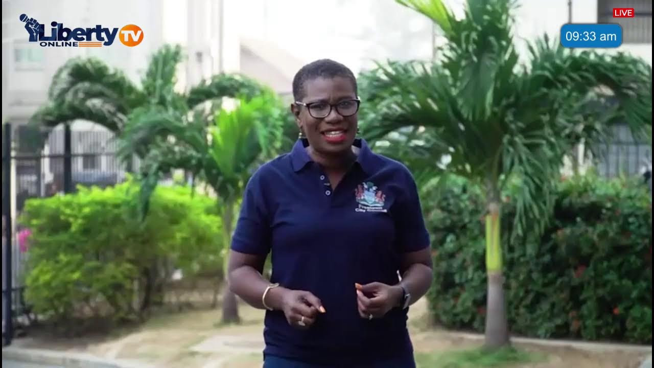 Plans to Become the Next APC Presidential Candidate.