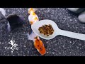 Well Balance Pellet Food for Goldfish