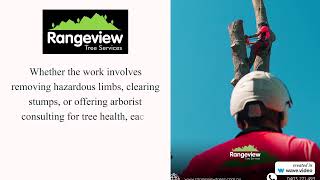Tree Lopping Ringwood North - Rangeview Tree Services