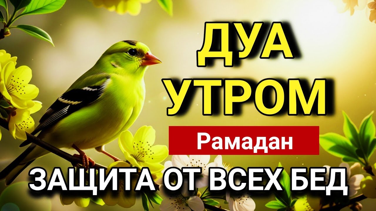 ⚡СИЛЬНЕЙШЕЕ  Рамадан ДУА УТРОМ ОТ ВСЕХ БЕД  🤲🌹✨💯