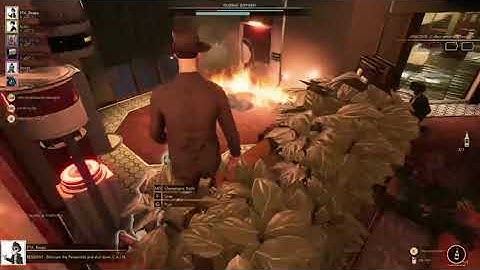 We attempted Hide N Seek!!!! It Failed MISERABLY - First Class Trouble